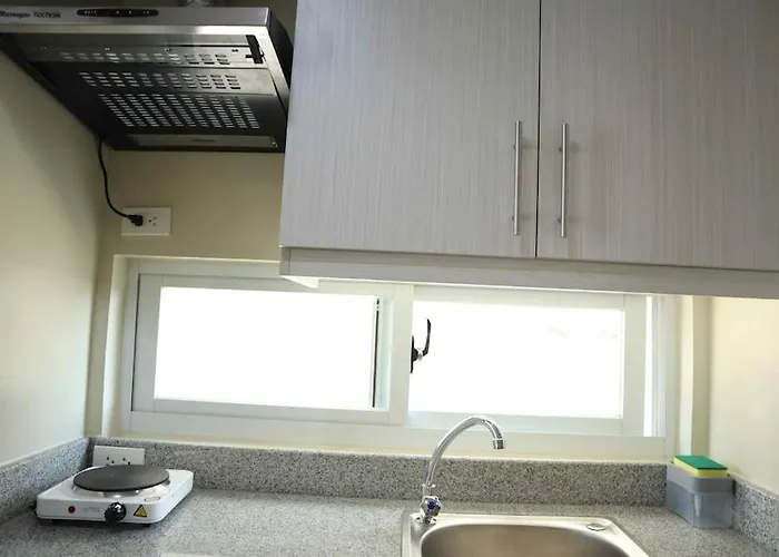 Cute 23 Sqm For The Cuties Near Ayala 세부